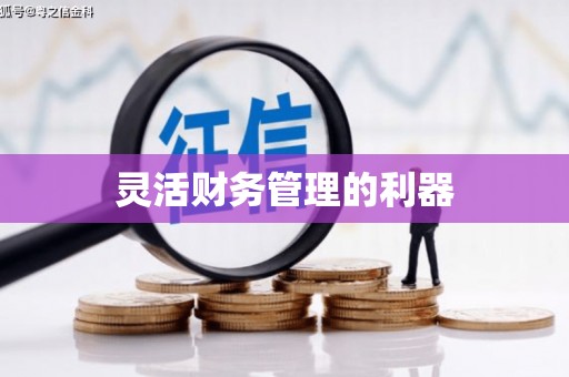 陆川灵活财务管理的利器