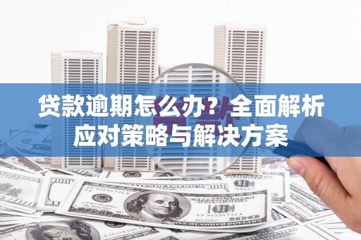 陆川贷款逾期怎么办？全面解析应对策略与解决方案