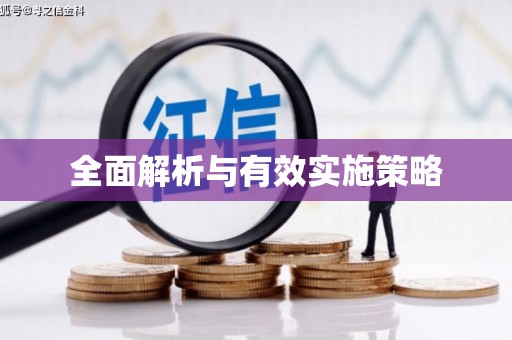 陆川全面解析与有效实施策略