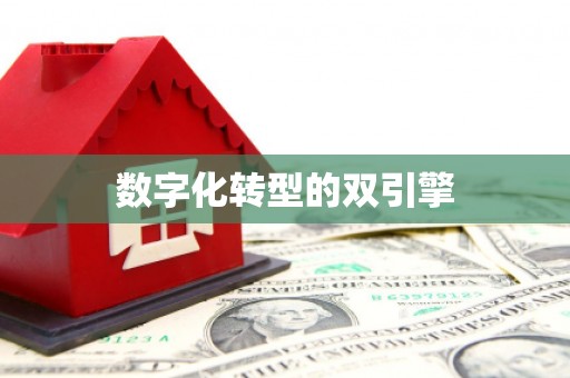 陆川数字化转型的双引擎