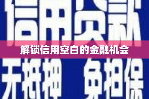 陆川解锁信用空白的金融机会