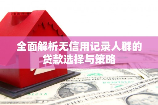 陆川全面解析无信用记录人群的贷款选择与策略