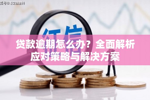 陆川贷款逾期怎么办？全面解析应对策略与解决方案