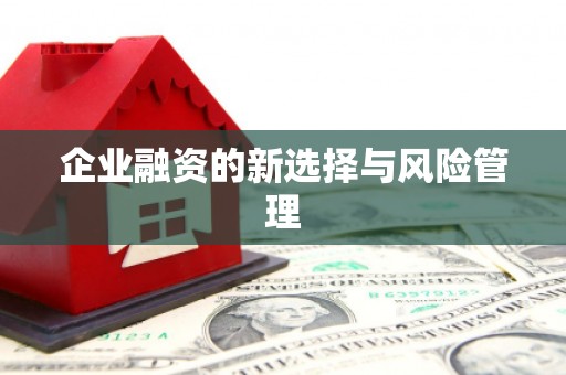 陆川企业融资的新选择与风险管理