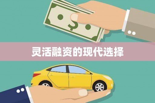 陆川灵活融资的现代选择