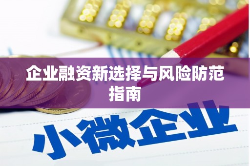 陆川企业融资新选择与风险防范指南