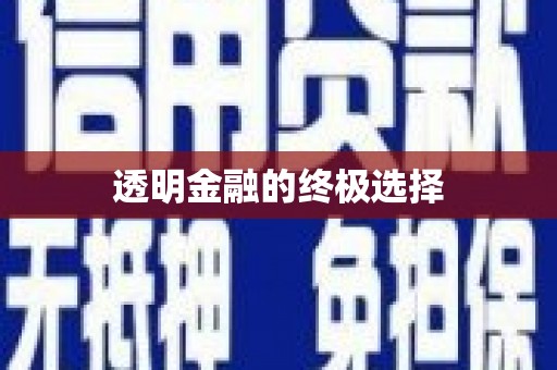 陆川透明金融的终极选择