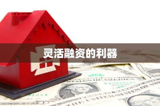陆川灵活融资的利器