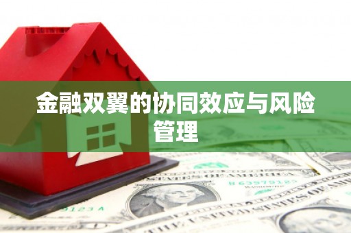陆川金融双翼的协同效应与风险管理