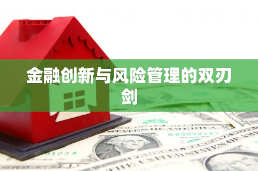 陆川金融创新与风险管理的双刃剑