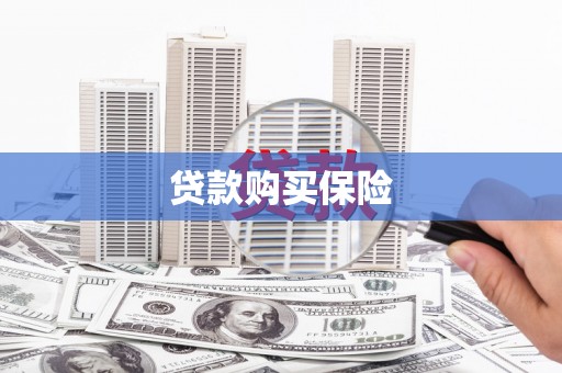 陆川贷款购买保险