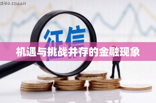 陆川机遇与挑战并存的金融现象