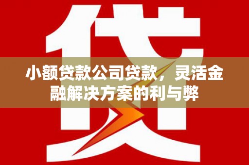 陆川小额贷款公司贷款，灵活金融解决方案的利与弊