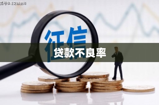 陆川贷款不良率